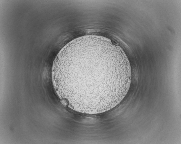 X0000114500475200911161237