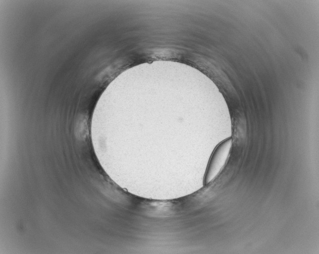 X0000114500478200911161237