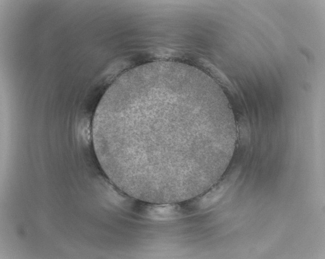 X0000114500479200911161237