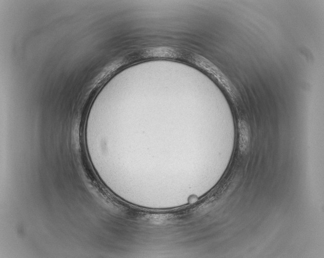 X0000114500482200911161237