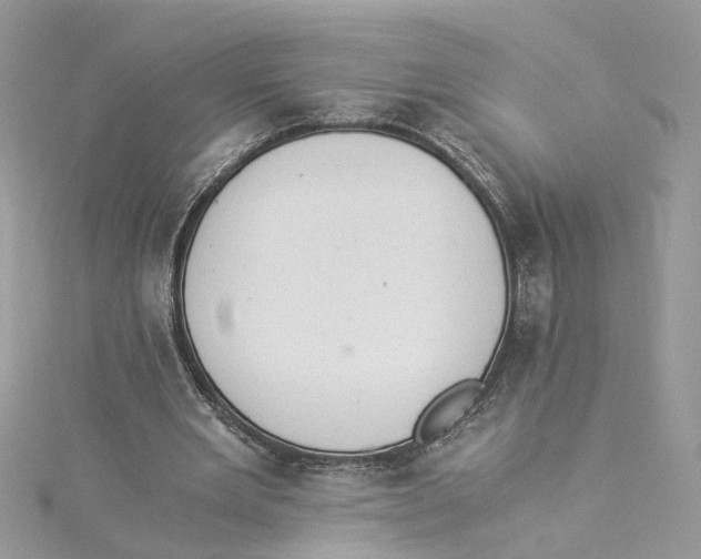X0000114500485200911161237