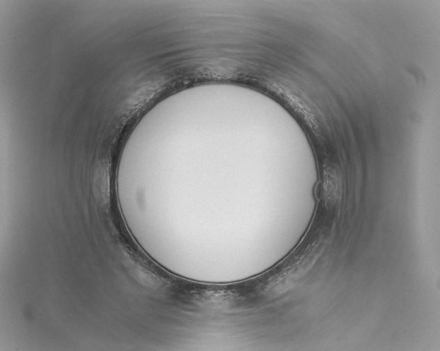 X0000114500493200911161237