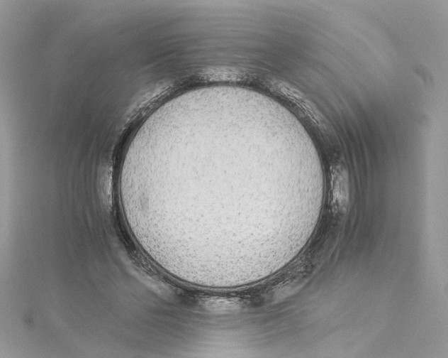 X0000114500494200911161237
