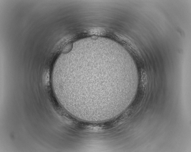 X0000114500502200911161237