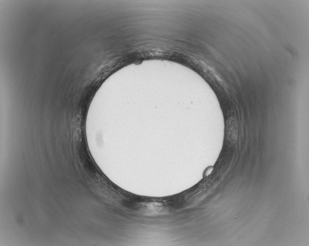 X0000114500509200911161236