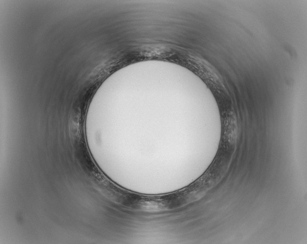 X0000114500510200911161236