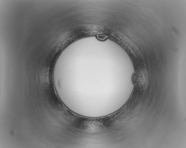 X0000114500512200911161236