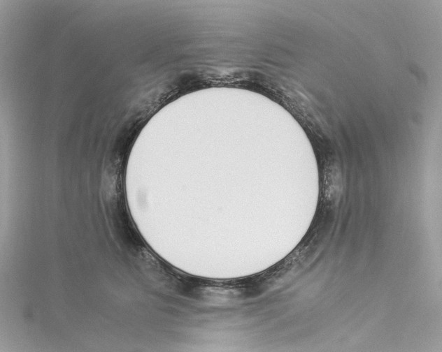 X0000114500515200911161236