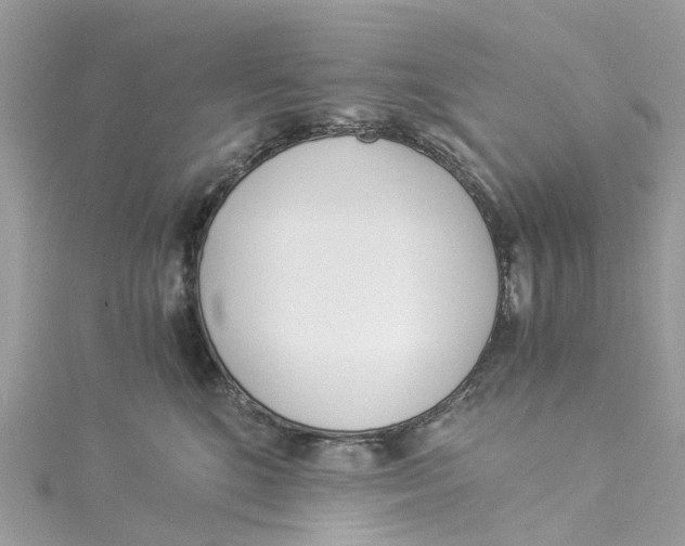 X0000114500520200911161236