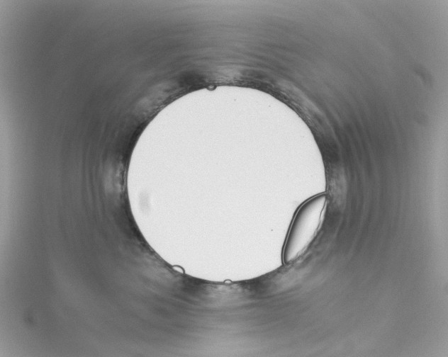 X0000114500525200911161236