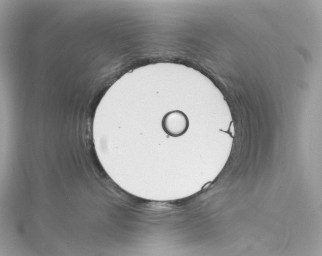 X0000114500528200911161236