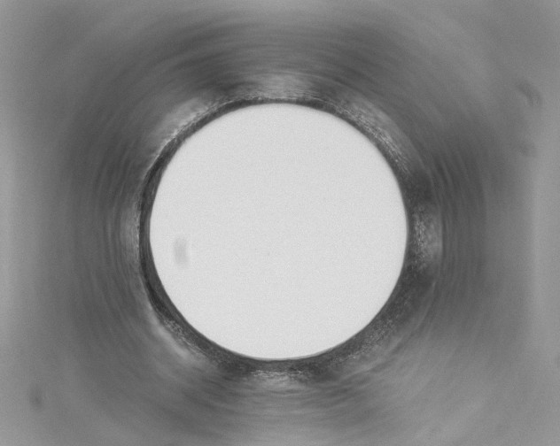 X0000114500534200911161236