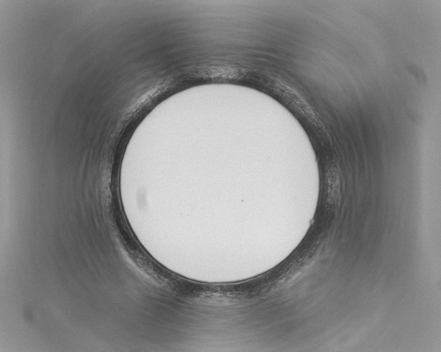 X0000114500538200911161236