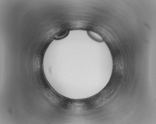 X0000114500546200911161236