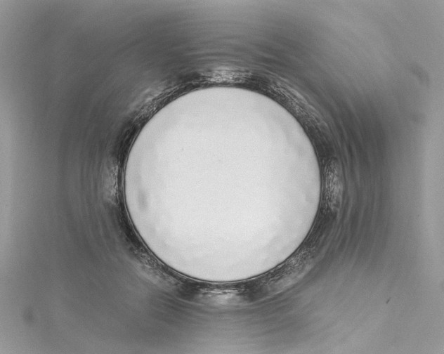 X0000114500554200911161236