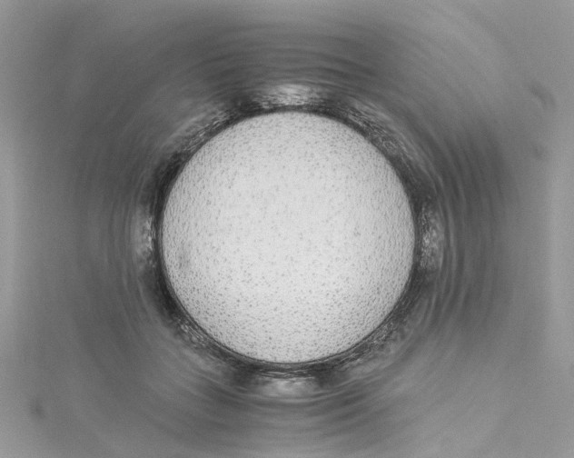 X0000114500555200911161236