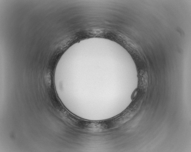 X0000114500562200911161236