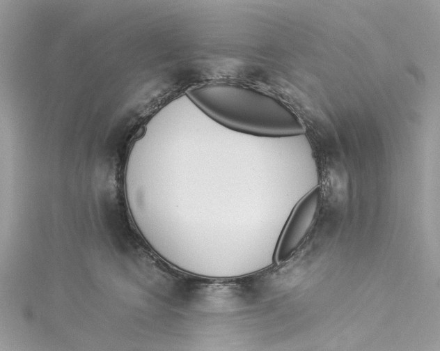 X0000114500566200911161236