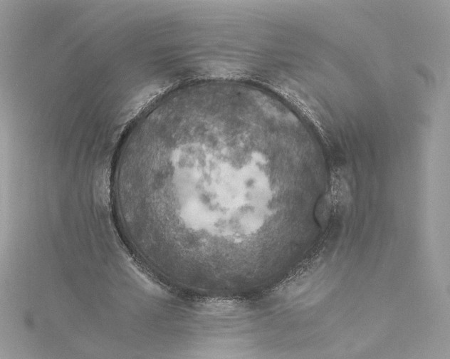 X0000114500581200911161236