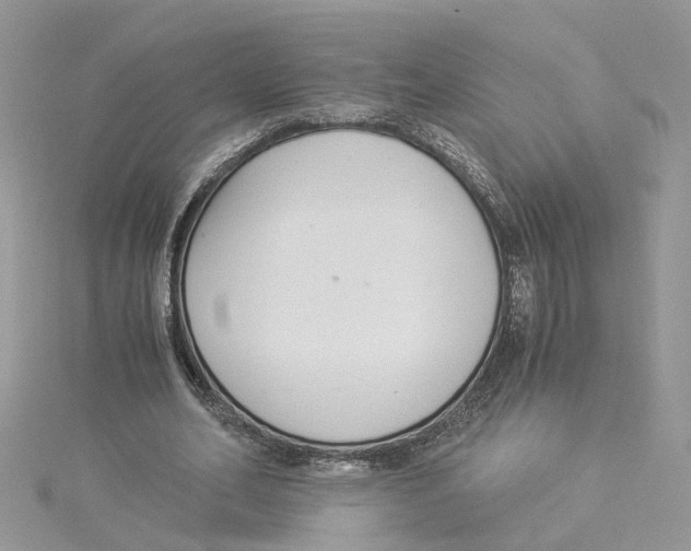 X0000114500582200911161236