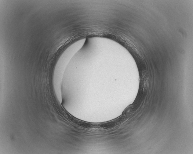 X0000114500595200911161235