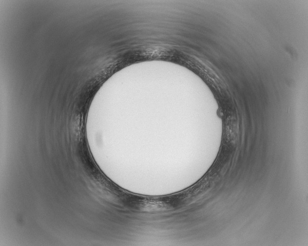 X0000114500605200911161235