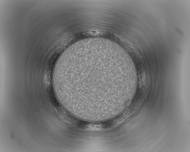 X0000114500606200911161235