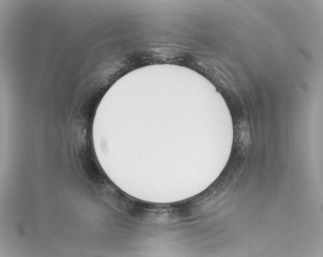 X0000114500615200911161235