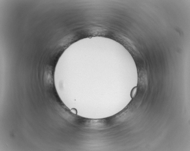 X0000114500622200911161235