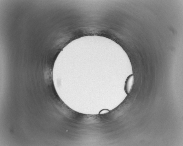 X0000114500624200911161235