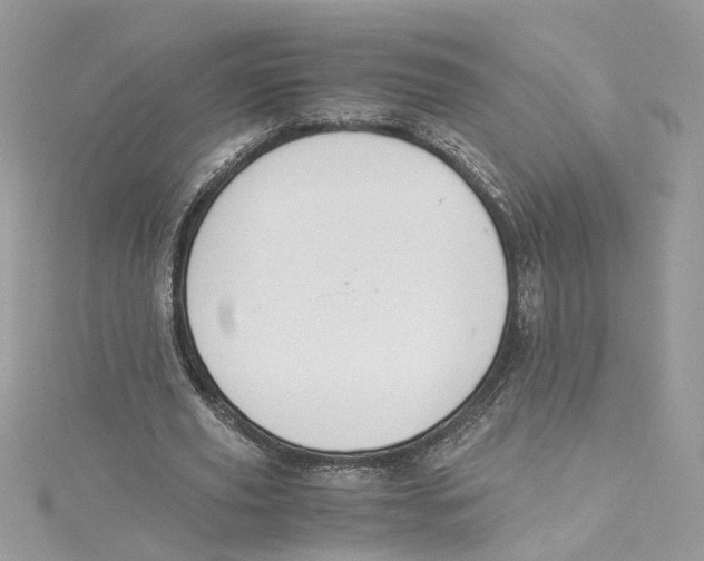 X0000114500629200911161234