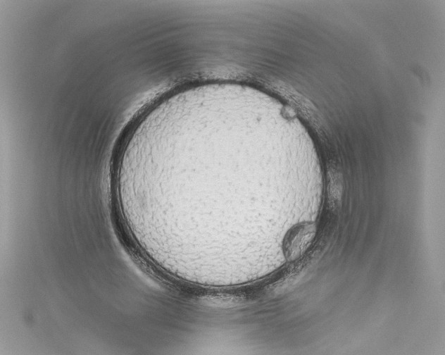 X0000114500630200911161234