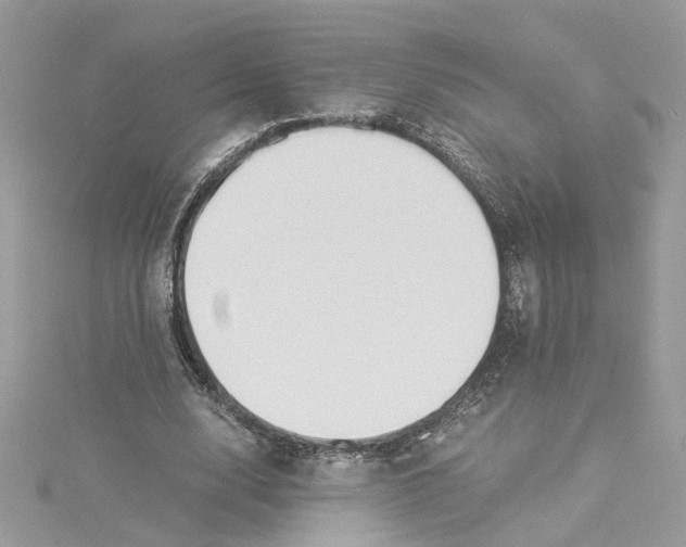X0000114500632200911161234
