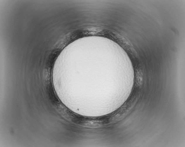 X0000114500657200911161235