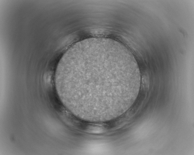 X0000114500671200911161235