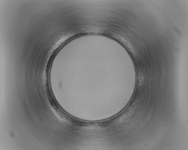 X0000114500674200911161234