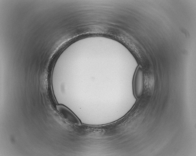 X0000114500676200911161234