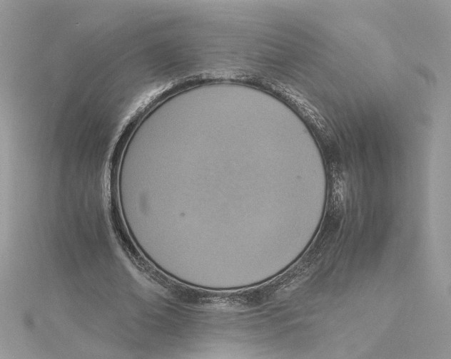 X0000114500678200911161234