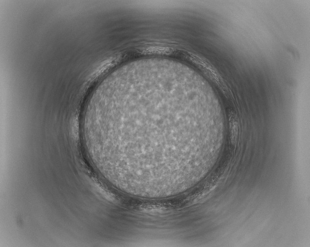X0000114500729200911161233