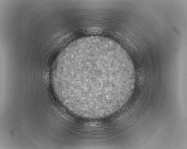 X0000114500745200911161233