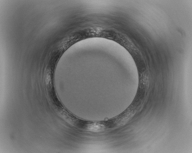 X0000114500754200911161234