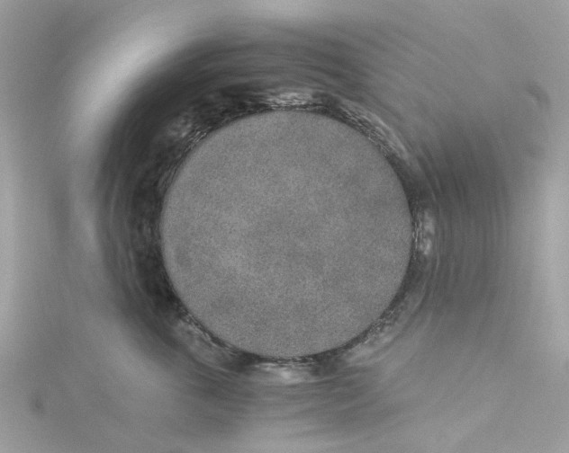 X0000114500763200911161234