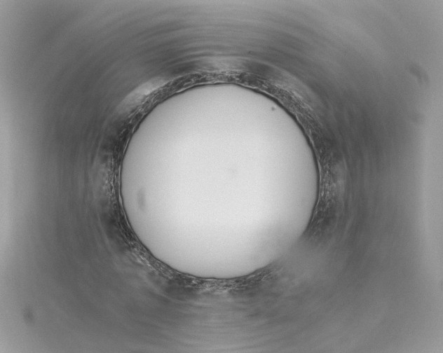 X0000114500773200911161233