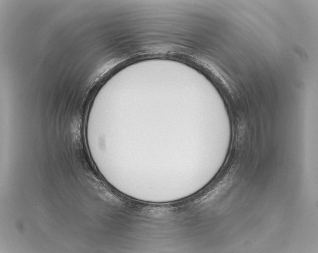 X0000114500778200911161233