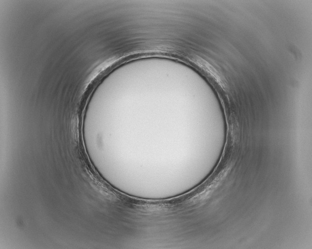 X0000114500781200911161233