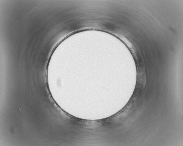 X0000114500807200911161233