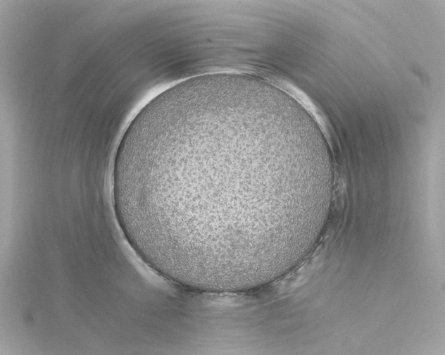 X0000114500811200911161232