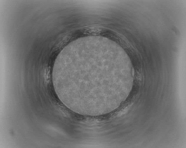 X0000114500818200911161232
