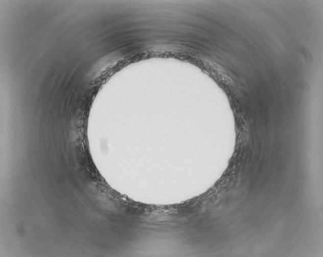 X0000114500824200911161232