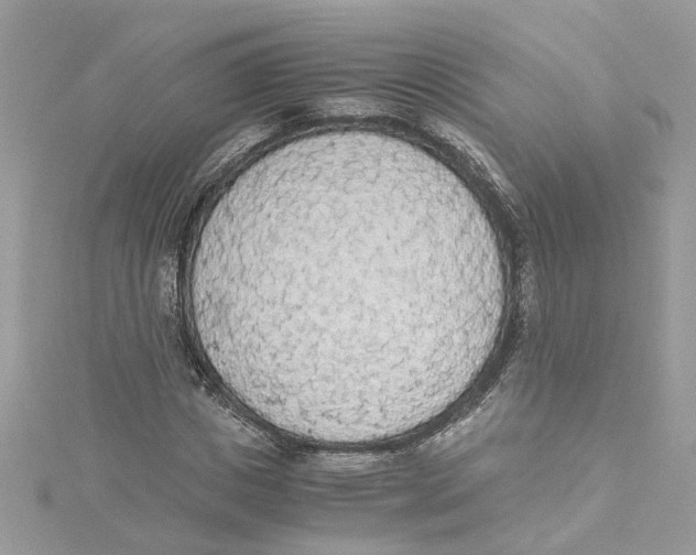 X0000114500825200911161232